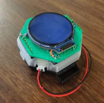 Custom Smart Watch